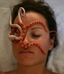 Экстремальная релаксация – массаж змеями